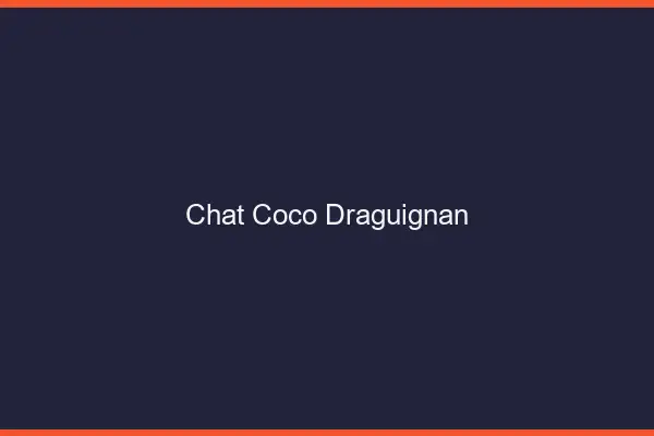 Chat Coco Draguignan