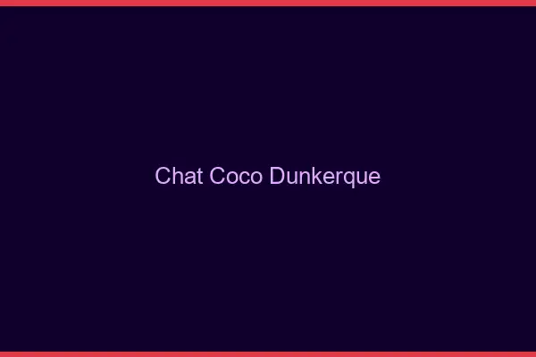 Chat Coco Dunkerque