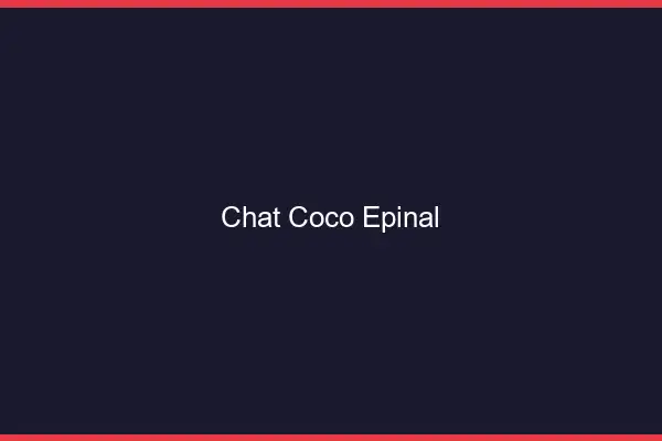 Chat Coco Épinal