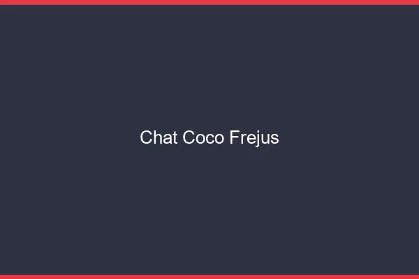 Chat Coco Fréjus