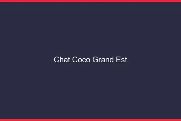 Chat Coco Grand Est
