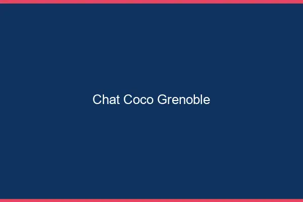 Chat Coco Grenoble