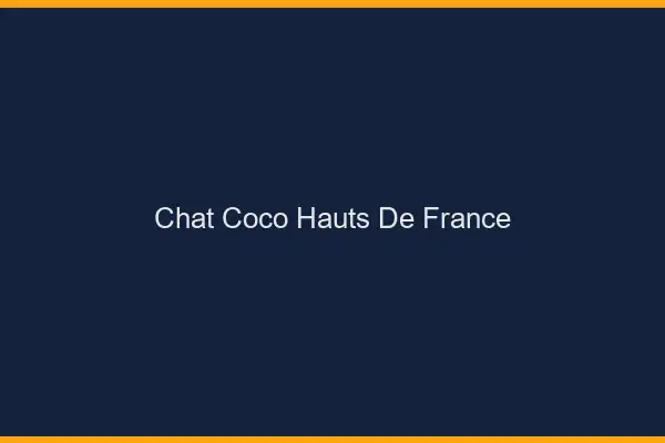 Chat Coco Hauts-de-France