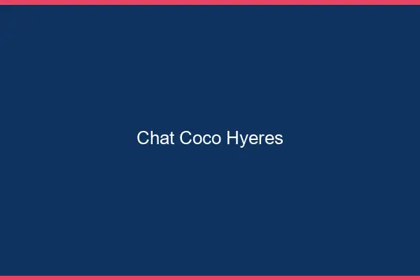 Chat Coco Hyères