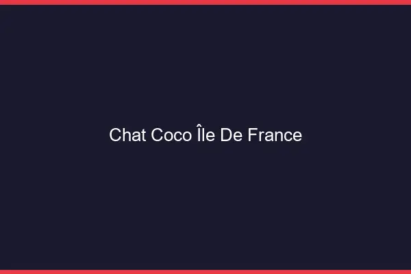 Chat Coco Île-de-France