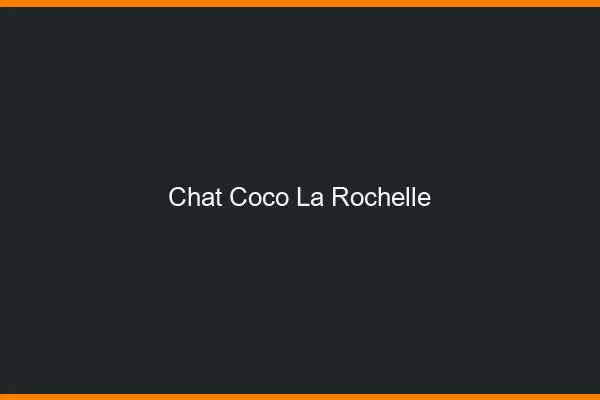 Chat Coco La Rochelle