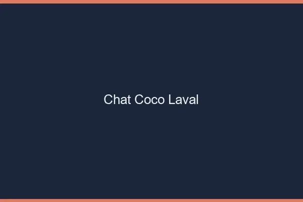 Chat Coco Laval