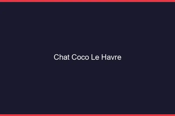 Chat Coco Le Havre