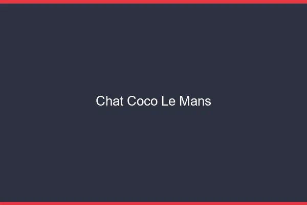 Chat Coco Le Mans