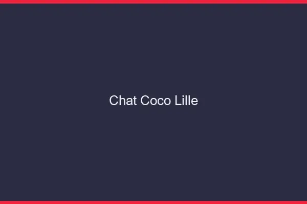 Chat Coco Lille