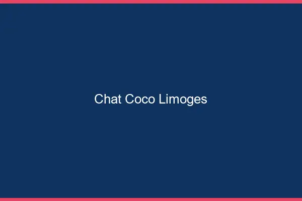 Chat Coco Limoges