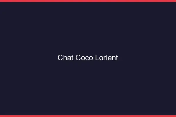 Chat Coco Lorient