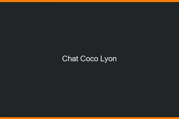 Chat Coco Lyon