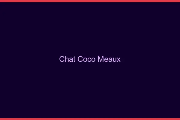Chat Coco Meaux