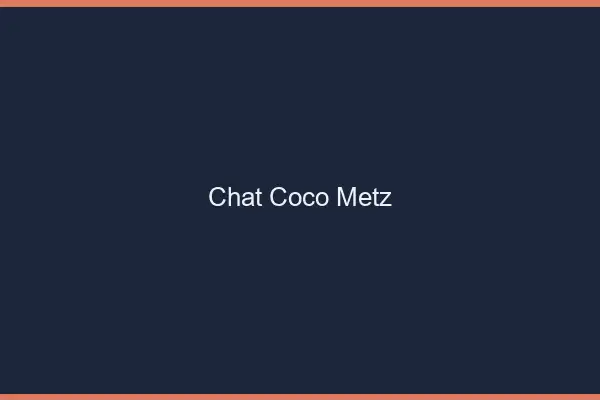Chat Coco Metz