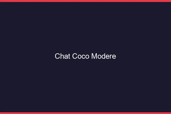 Chat Coco Modéré