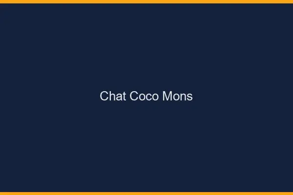 Chat Coco Mons