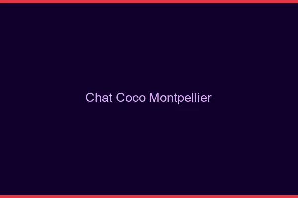 Chat Coco Montpellier