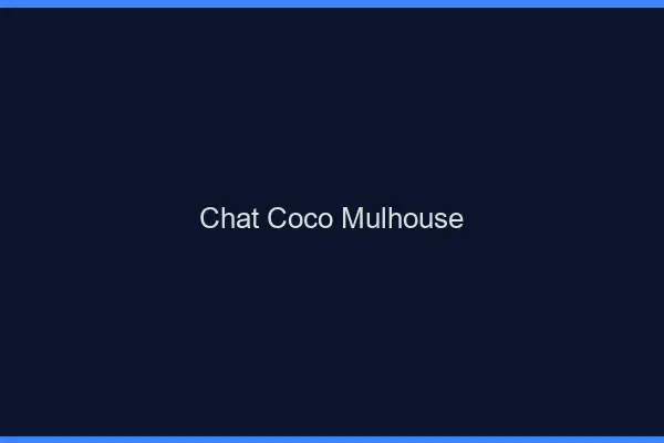 Chat Coco Mulhouse