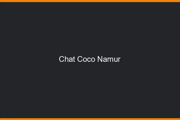 Chat Coco Namur