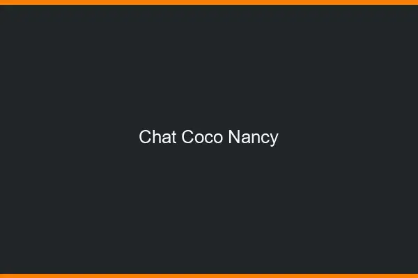 Chat Coco Nancy