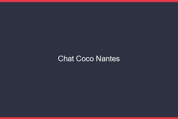 Chat Coco Nantes