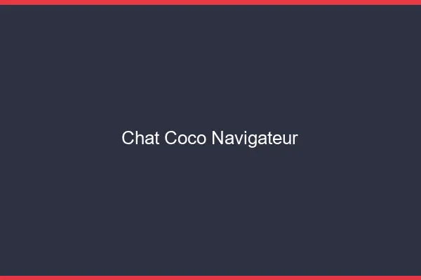 Chat Coco Navigateur