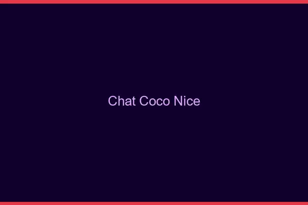 Chat Coco Nice