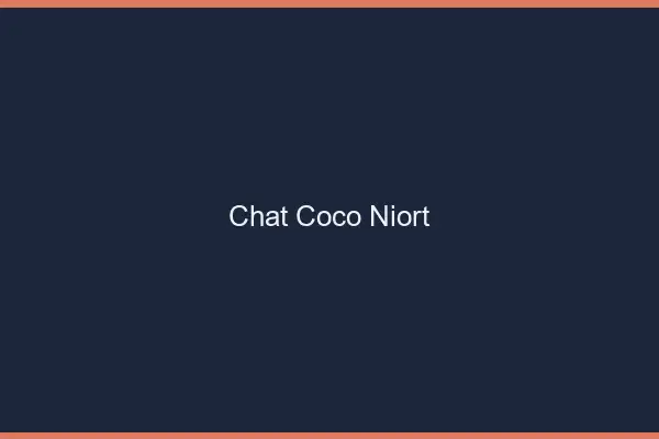 Chat Coco Niort