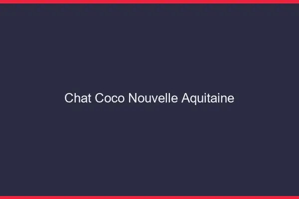 Chat Coco Nouvelle-Aquitaine