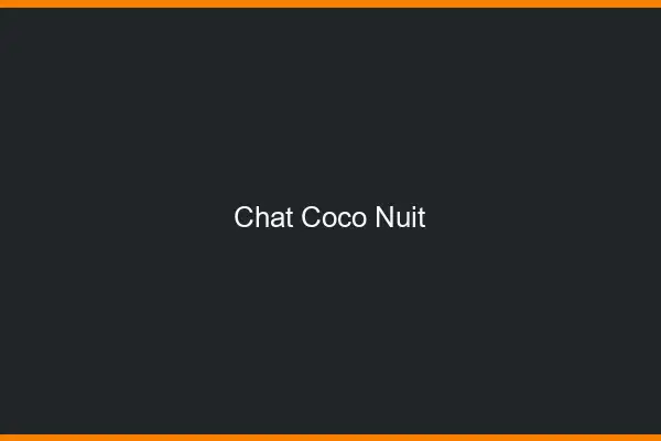 Chat Coco de Nuit