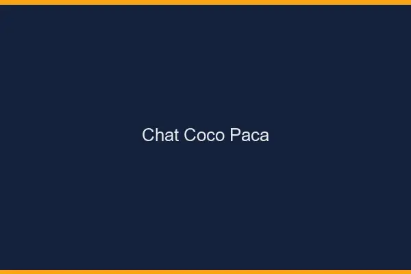 Chat Coco PACA