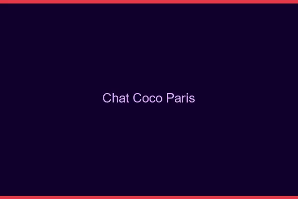 Chat Coco Paris