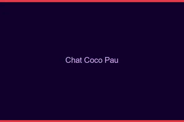 Chat Coco Pau