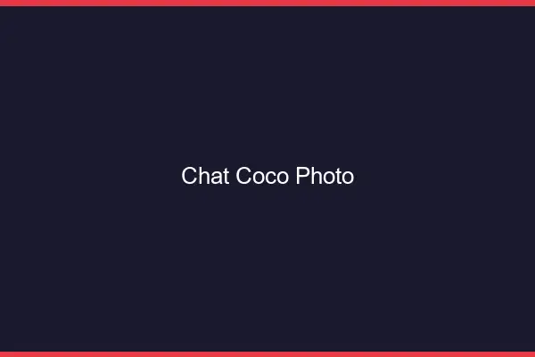 Chat Coco Photo