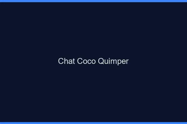 Chat Coco Quimper