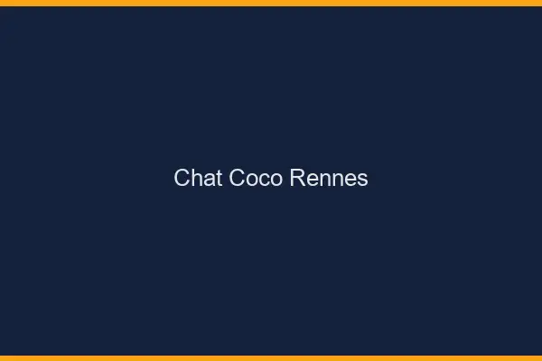 Chat Coco Rennes