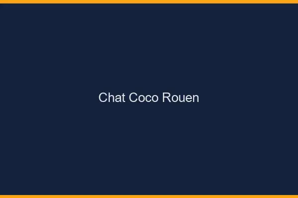 Chat Coco Rouen