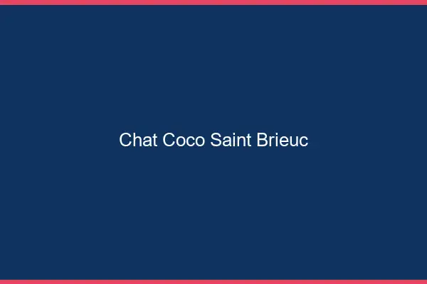Chat Coco Saint-Brieuc