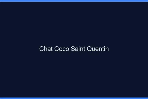 Chat Coco Saint-Quentin
