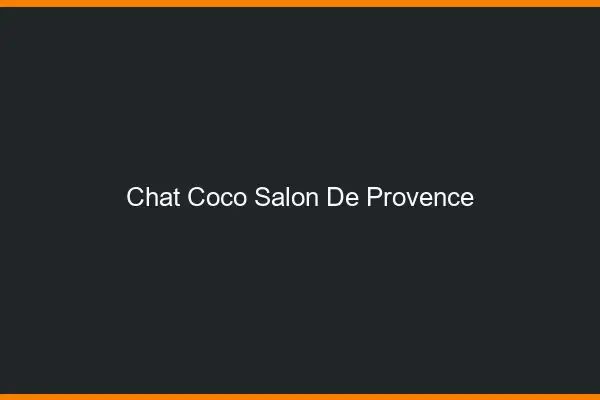 Chat Coco Salon-de-Provence