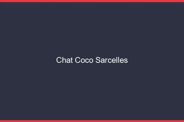 Chat Coco Sarcelles
