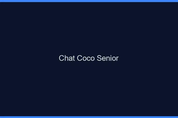 Chat Coco Senior