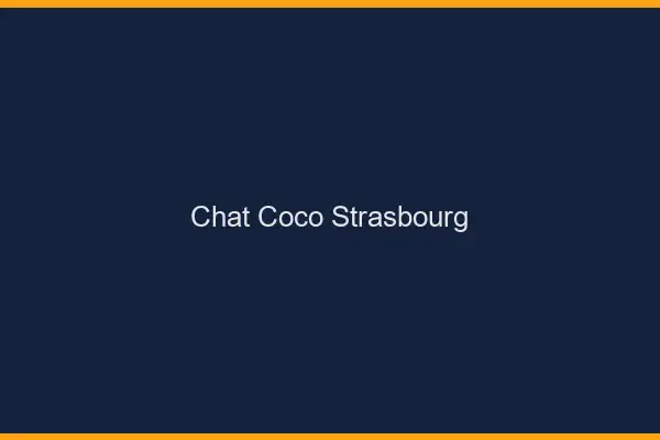 Chat Coco Strasbourg