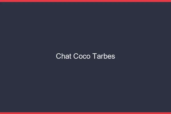 Chat Coco Tarbes