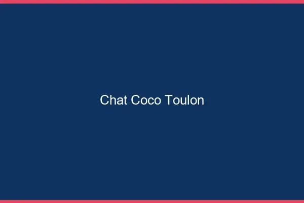 Chat Coco Toulon