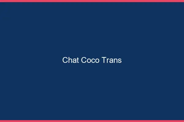 Chat Coco Trans