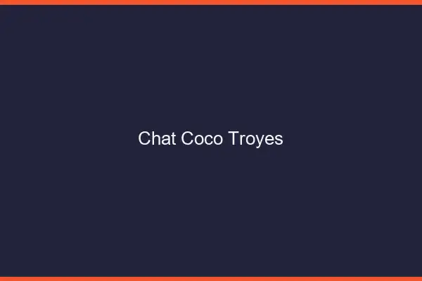 Chat Coco Troyes