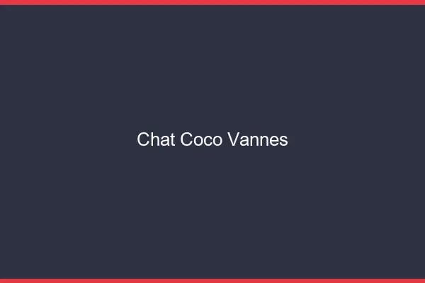 Chat Coco Vannes