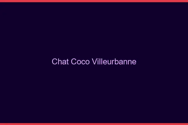 Chat Coco Villeurbanne